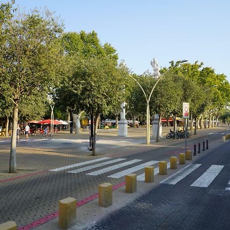 Atico Con Terraza En Alameda De Hercules เซบีญา ภายนอก รูปภาพ