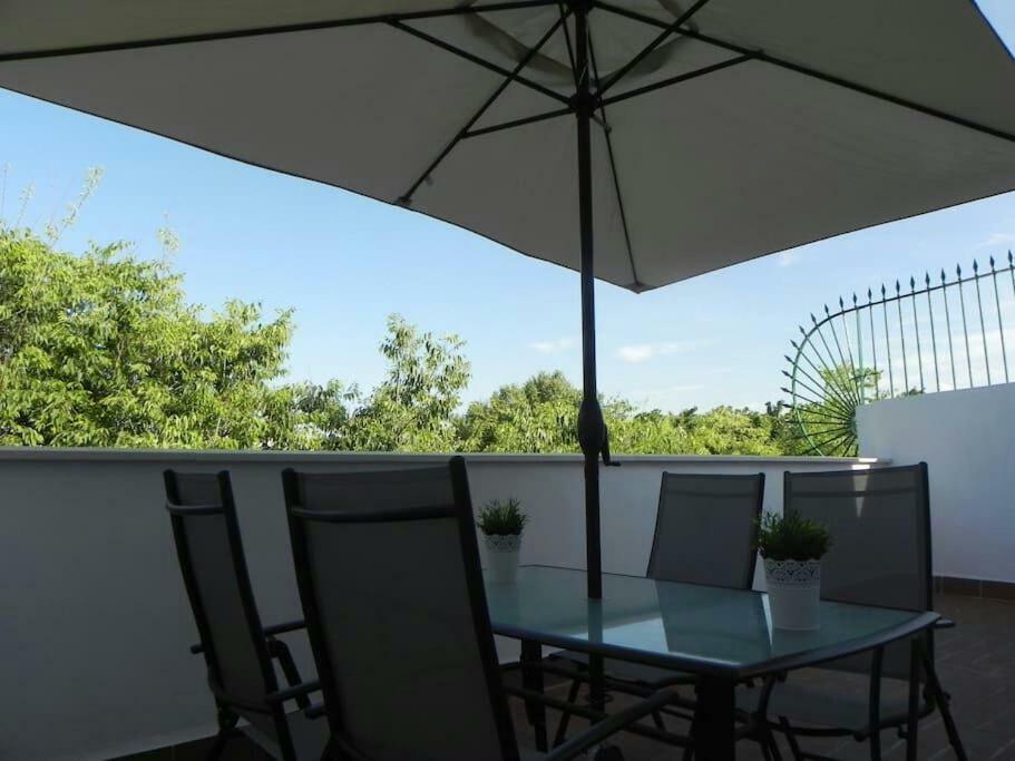 Atico Con Terraza En Alameda De Hercules เซบีญา ภายนอก รูปภาพ